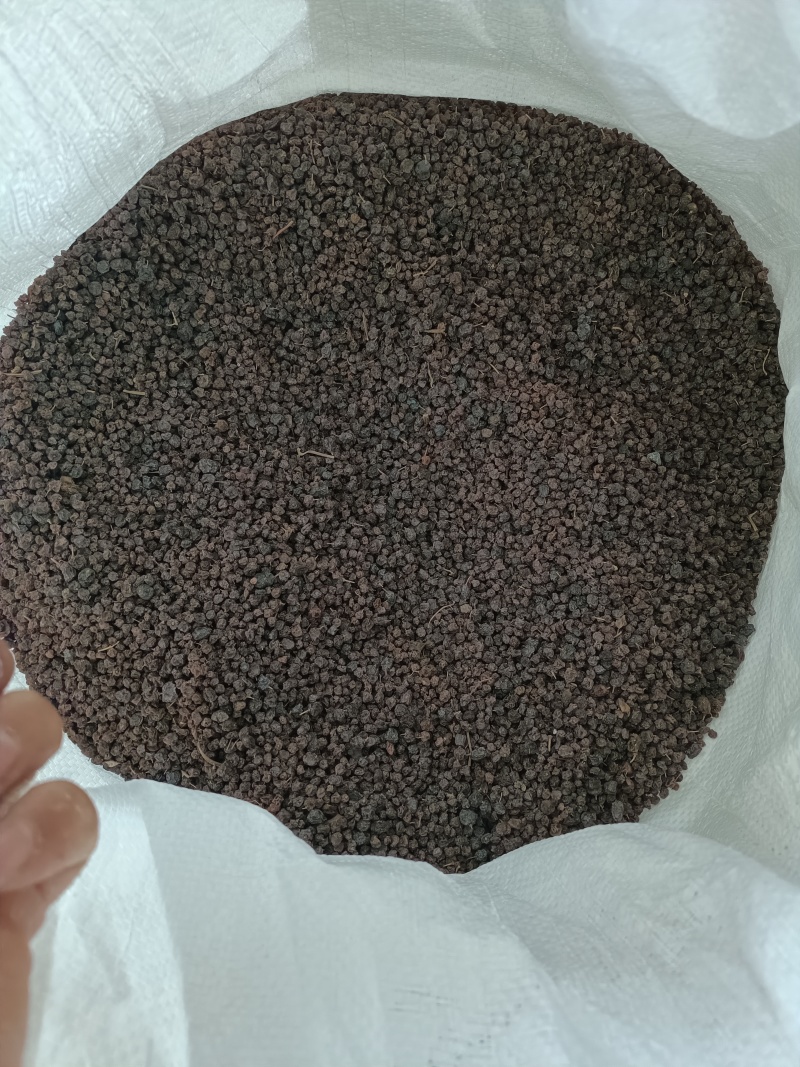 索索葡萄，中药材索索葡萄索索葡萄干野生葡萄供应