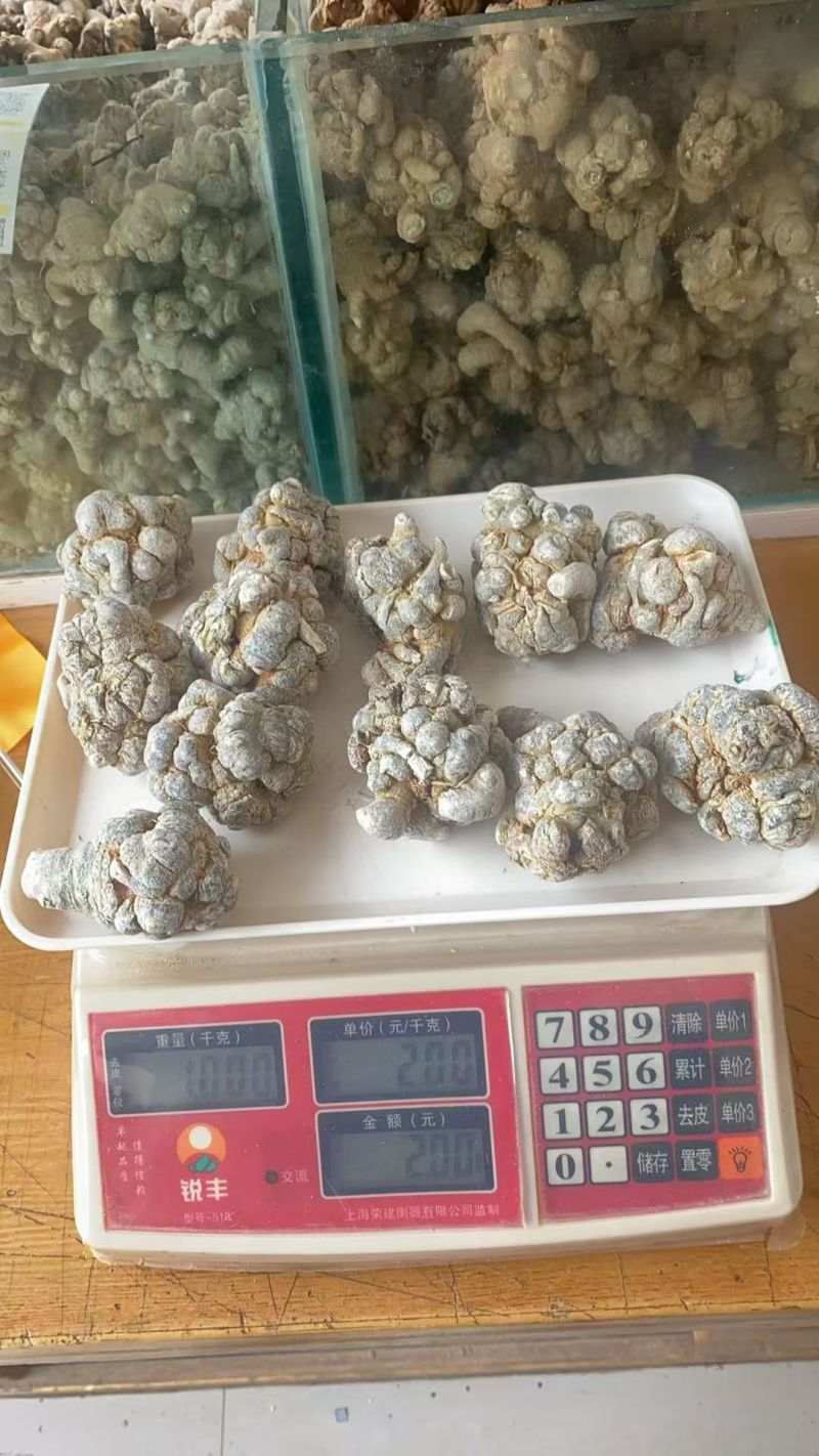云南文山三七