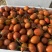 云南树番茄，加工果，市场果，可长期供应，