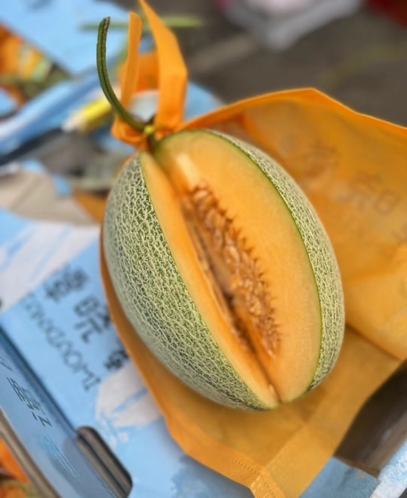 北海哈密瓜广西晓蜜25哈密瓜皮薄多汁基地直发欢迎咨询