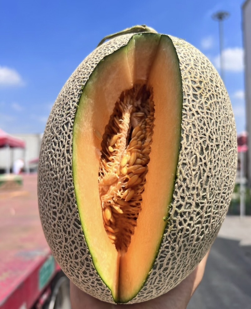 北海哈密瓜广西晓蜜25哈密瓜皮薄多汁基地直发欢迎咨询
