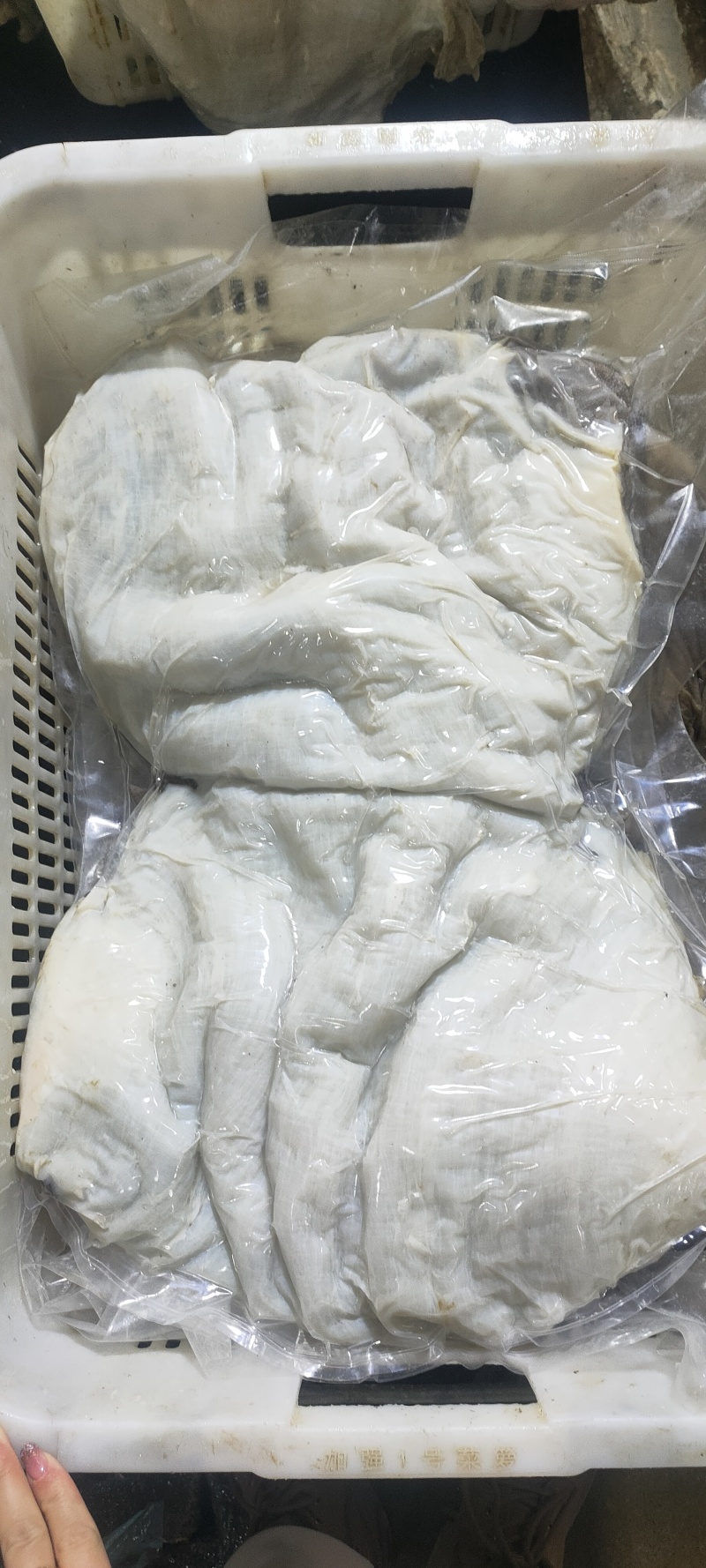 牛百叶