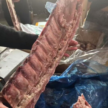 牛脊骨
