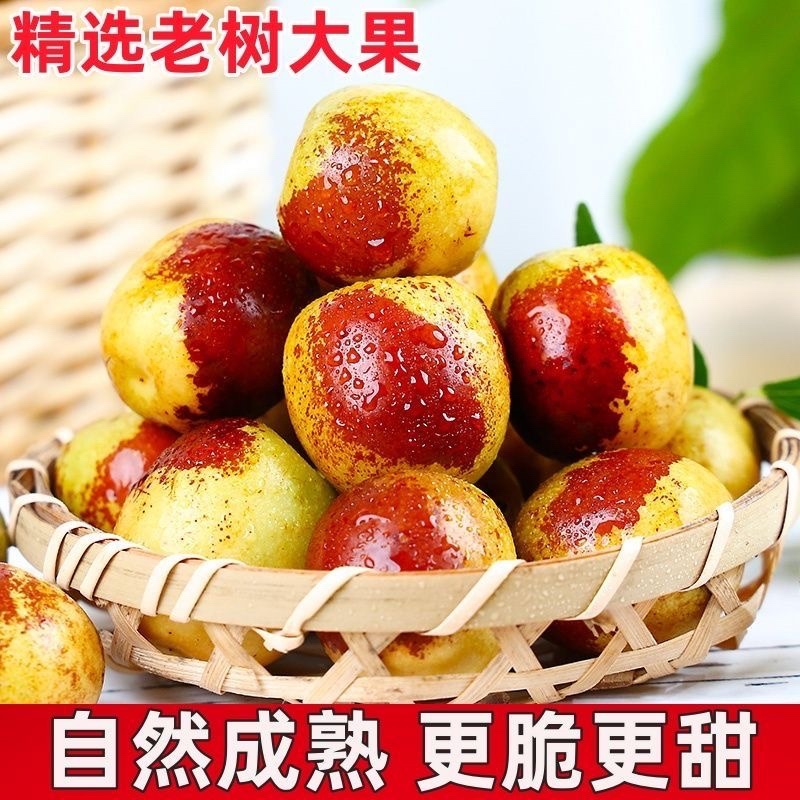 沾化冬枣，一件代发，对接市场电商供应链，可长期稳定供货