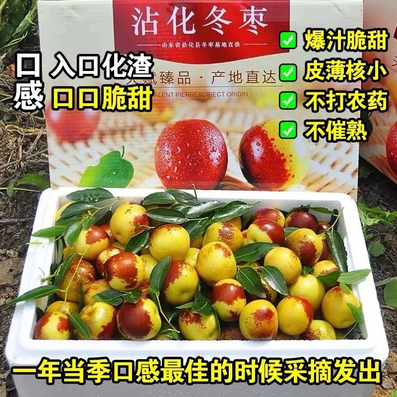 沾化冬枣，一件代发，对接市场电商供应链，可长期稳定供货
