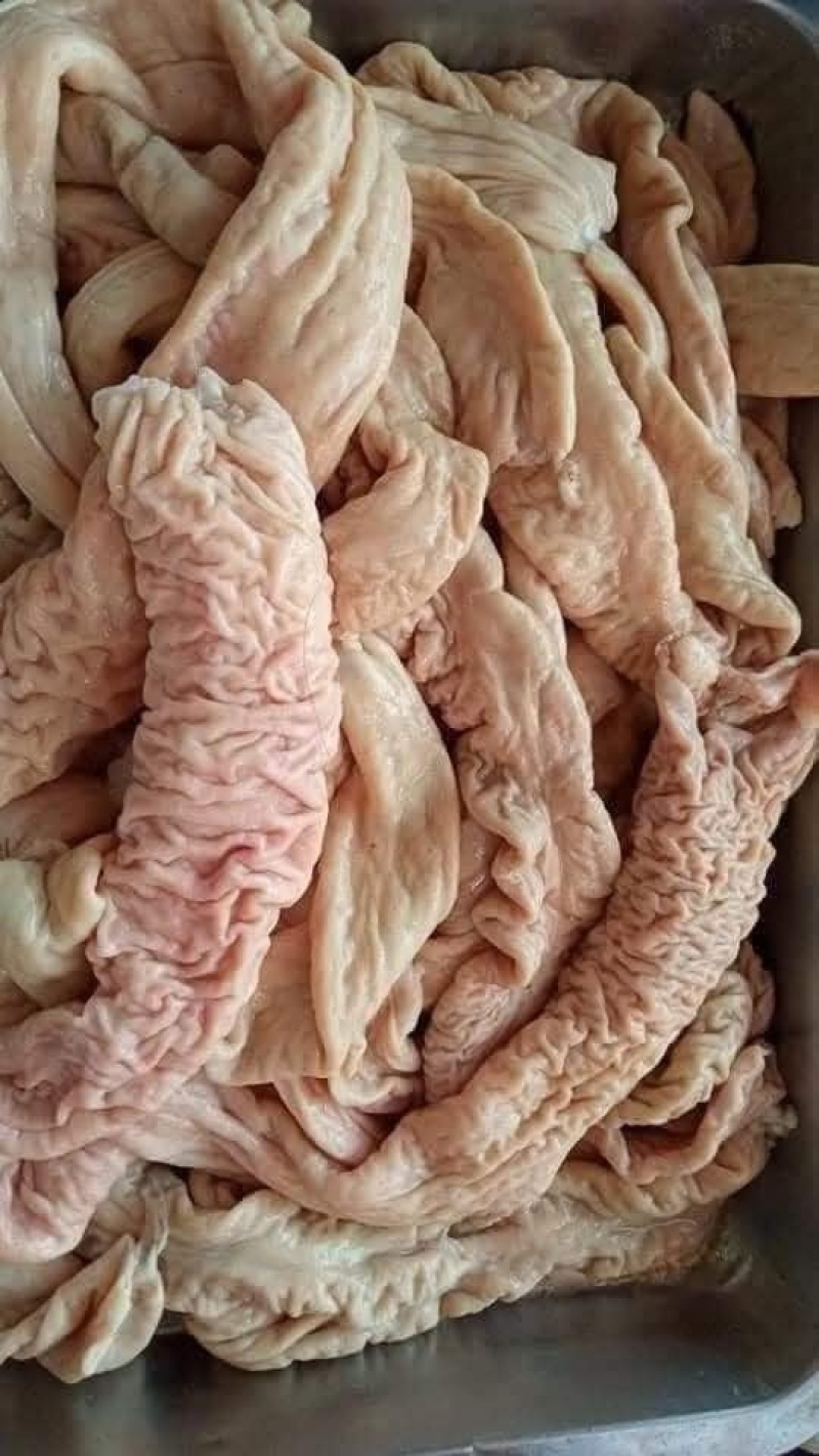 A+级精品大肠头