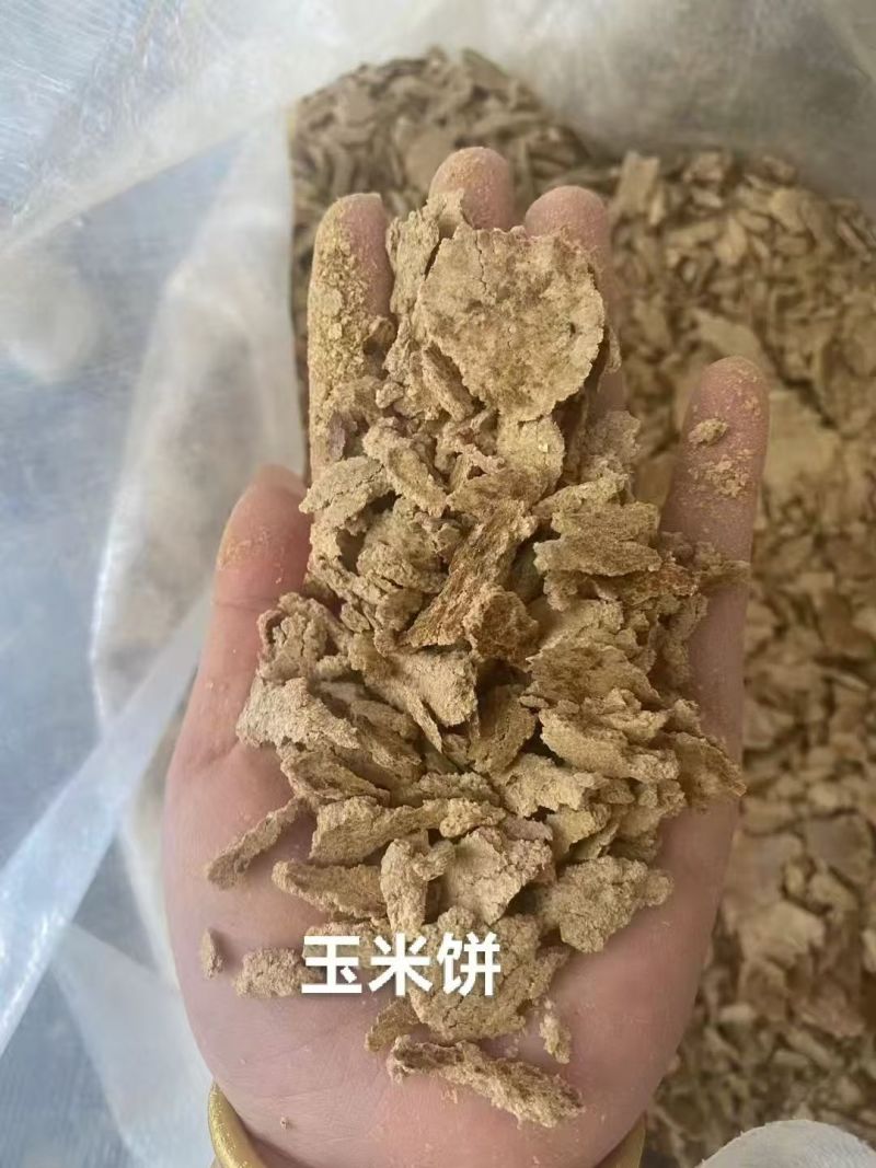 玉米饼