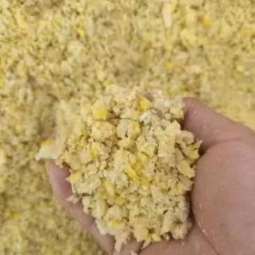 发酵熟玉米
