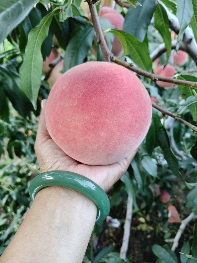 水蜜桃