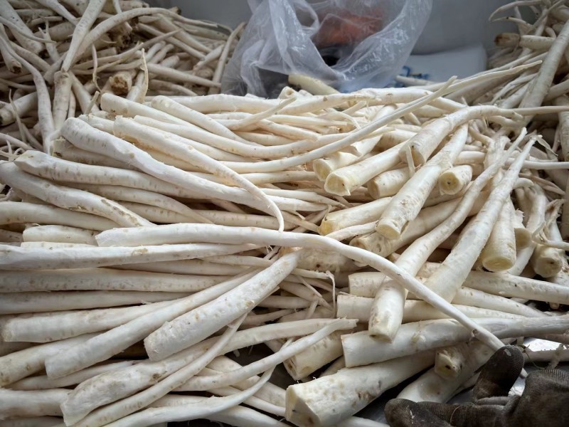 桔梗干丝，延边桔梗泡菜，凉拌桔梗，一斤泡三斤，价格私