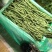 四季豆无筋豆，一手货源，全国发货，诚信经营，可视频看货