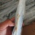 破腹鲅鱼