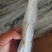 破腹鲅鱼