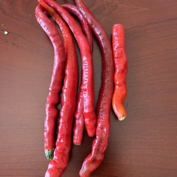 鲜辣椒
