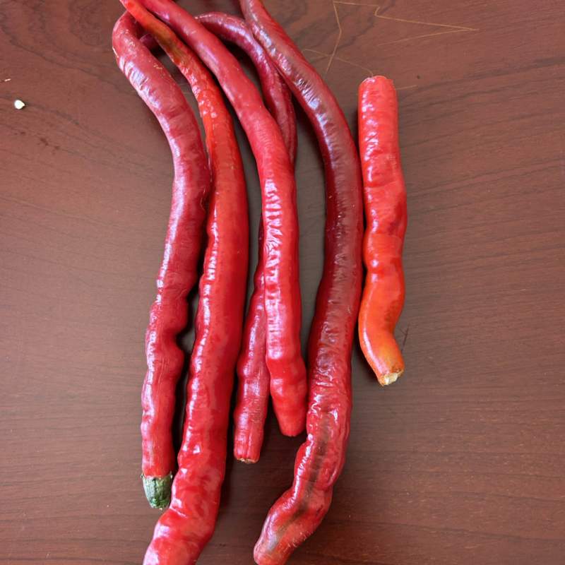 鲜辣椒