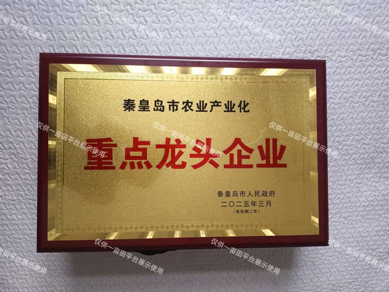 2025年河北省青龙县板栗现货，产地直发，量大优惠。