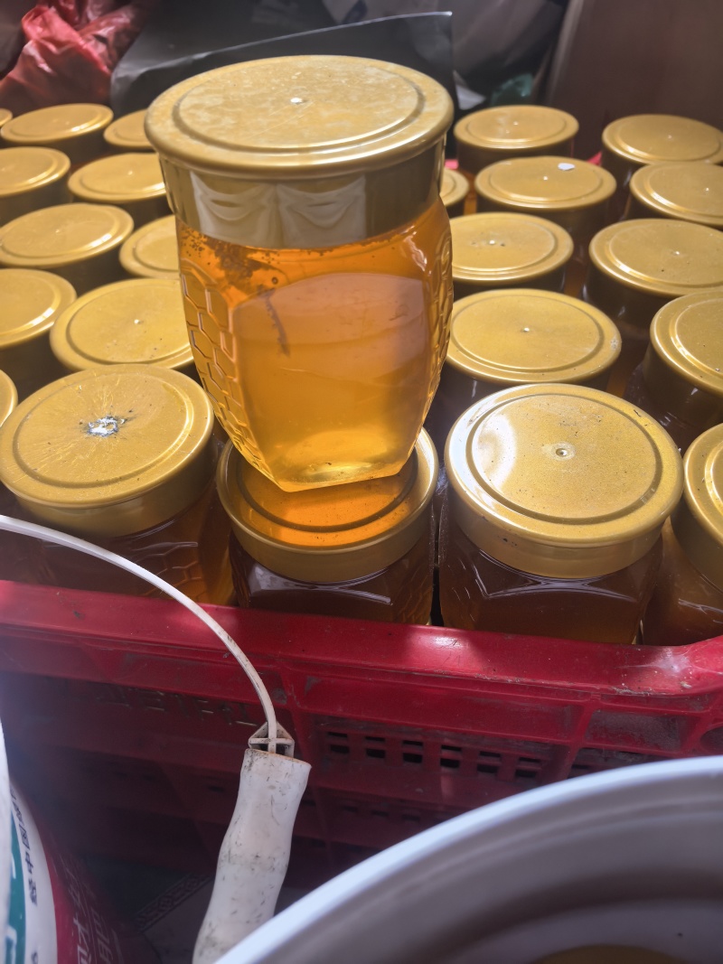 深山中蜂蜜