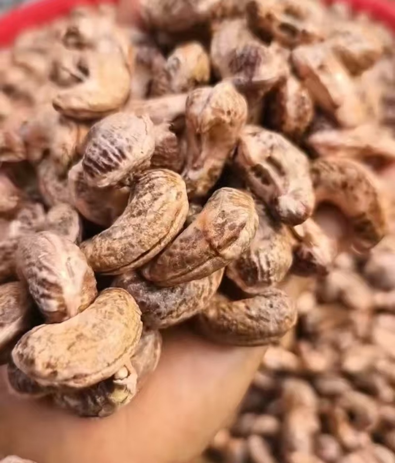 精品腰果生货熟货都有