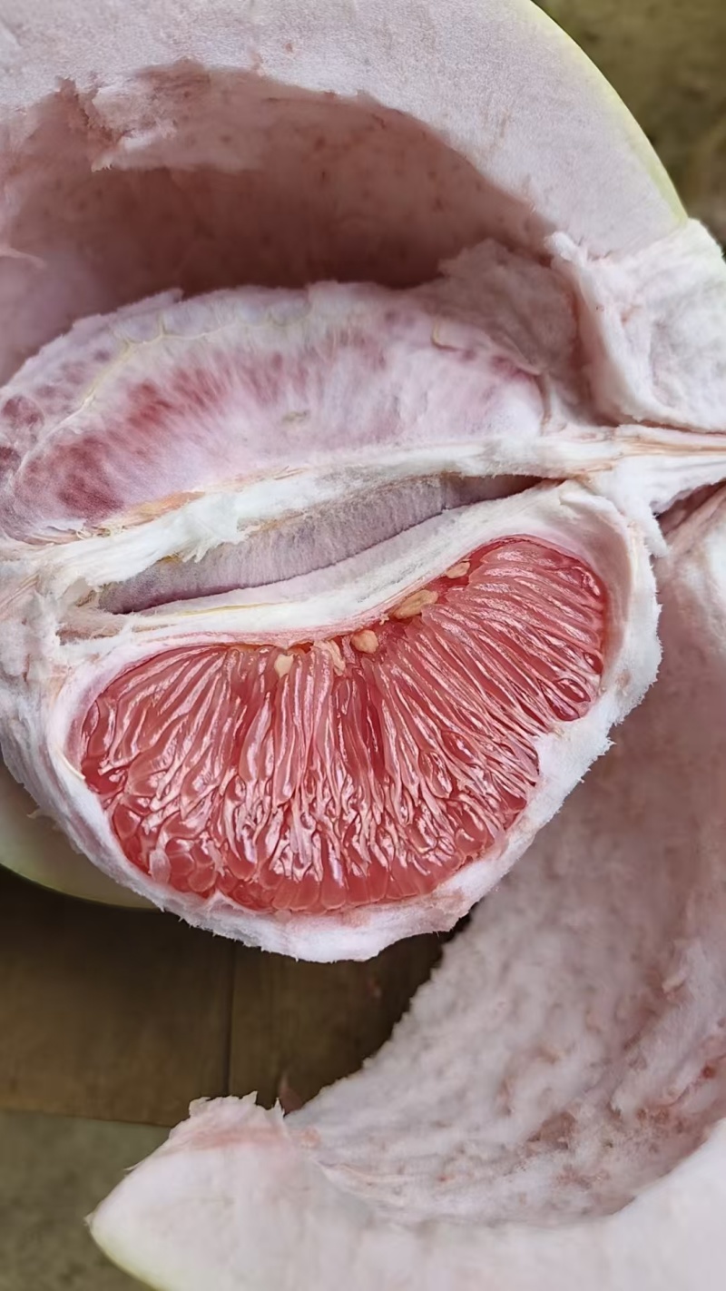 三红蜜柚