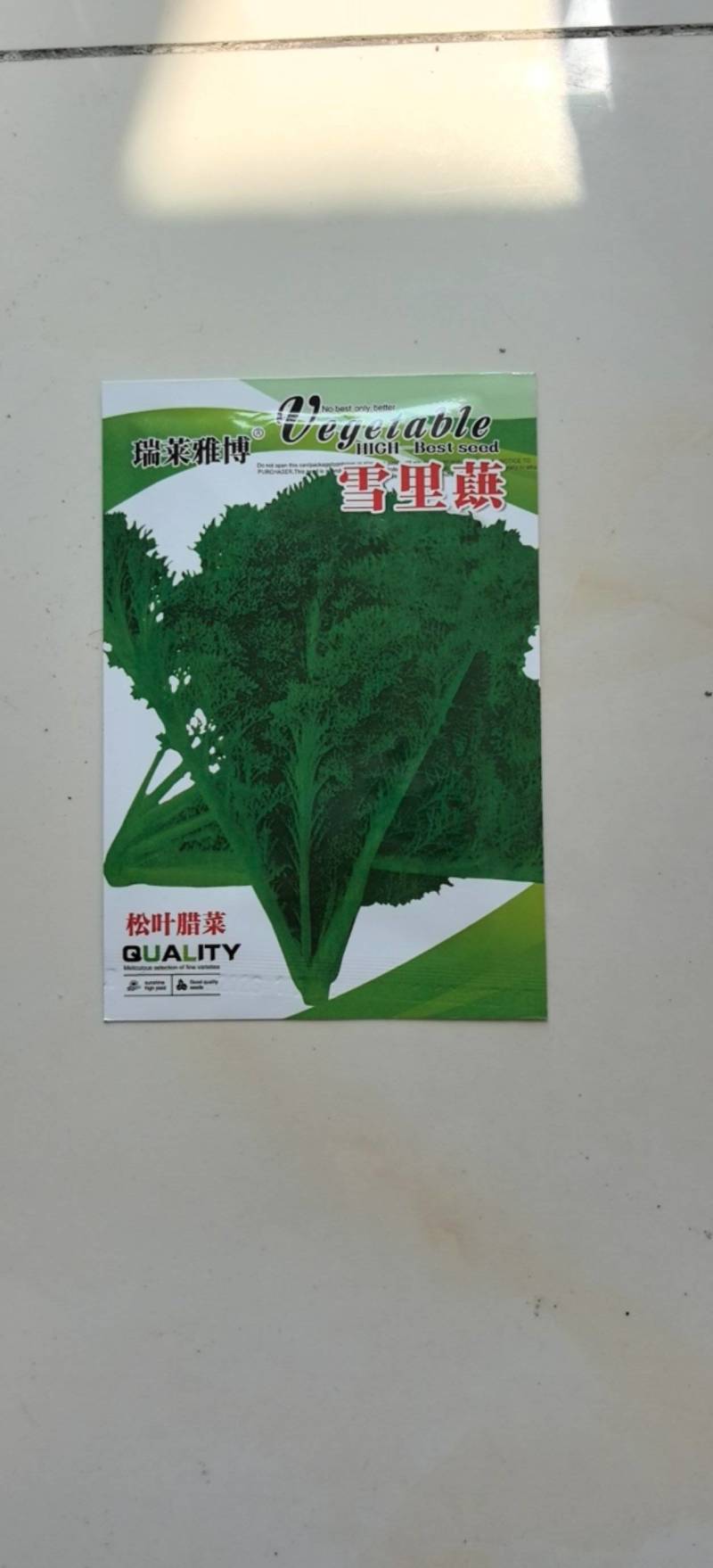 雪里红种子松叶腊菜种子香味浓郁早熟阳台耐寒晚熟花叶型