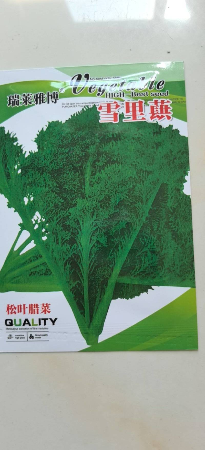 雪里红种子松叶腊菜种子香味浓郁早熟阳台耐寒晚熟花叶型