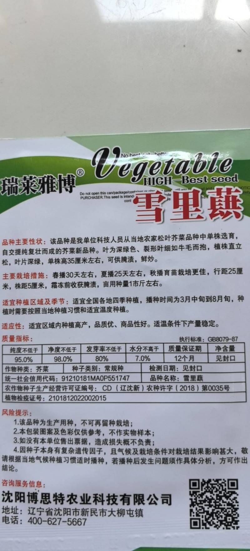 雪里红种子松叶腊菜种子香味浓郁早熟阳台耐寒晚熟花叶型