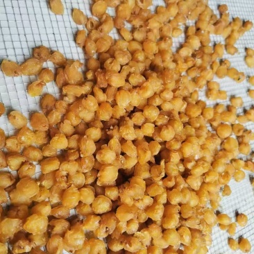 广西博白桂圆肉干