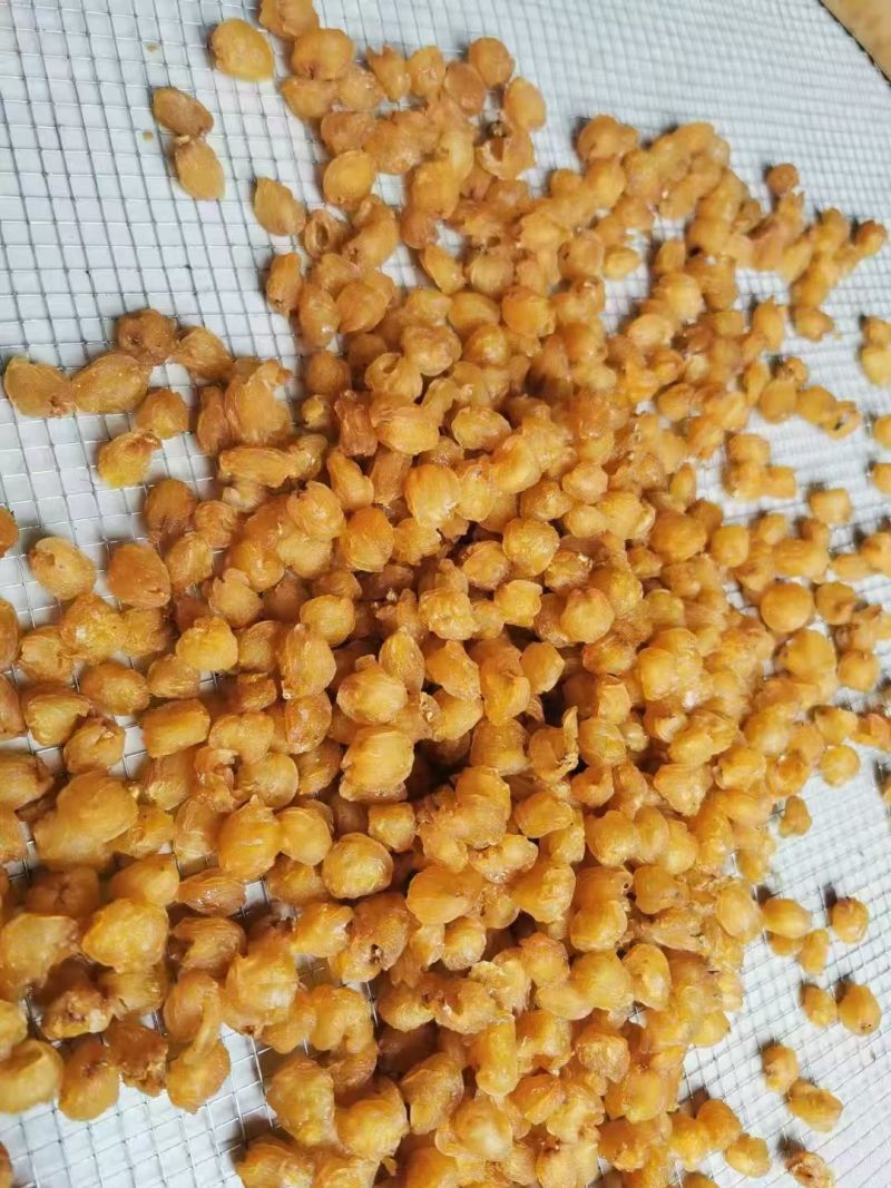 广西博白桂圆肉干