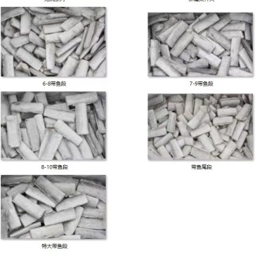 东海野生海捕带鱼段，各种规格齐全，刚刚开海新货哦