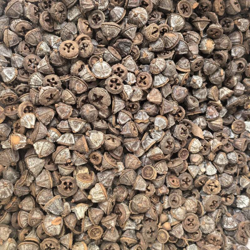 新货一口钟一口盅云南野生新货中药材可泡茶泡水泡酒中草药
