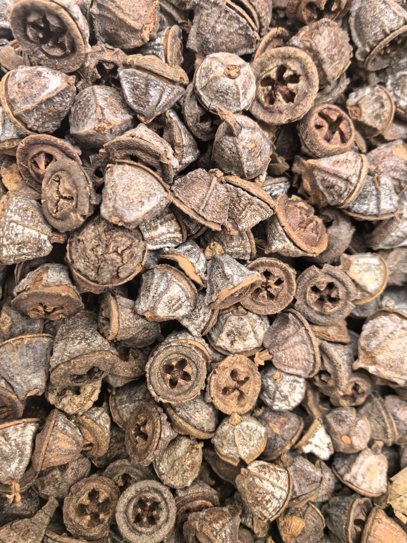 新货一口钟一口盅云南野生新货中药材可泡茶泡水泡酒中草药