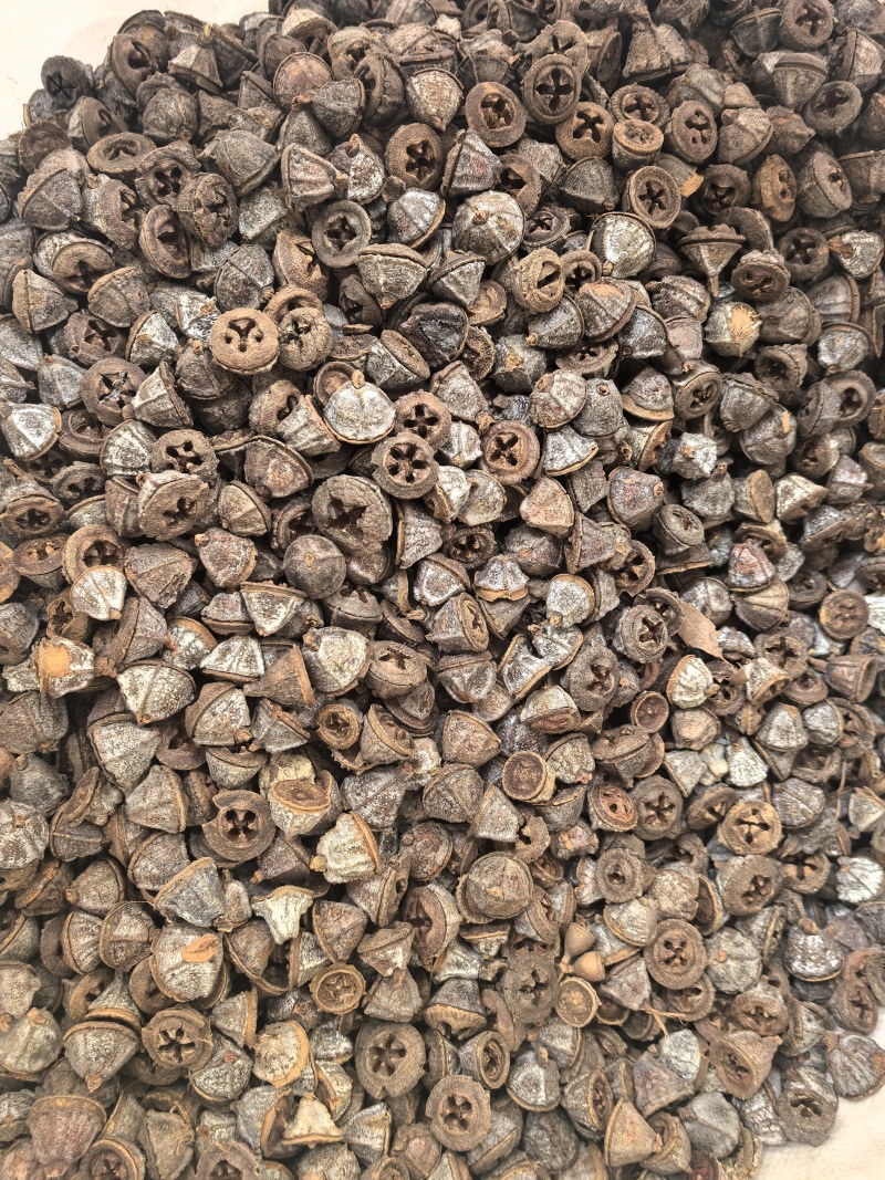 新货一口钟一口盅云南野生新货中药材可泡茶泡水泡酒中草药