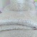 芸豆853（豆种）
