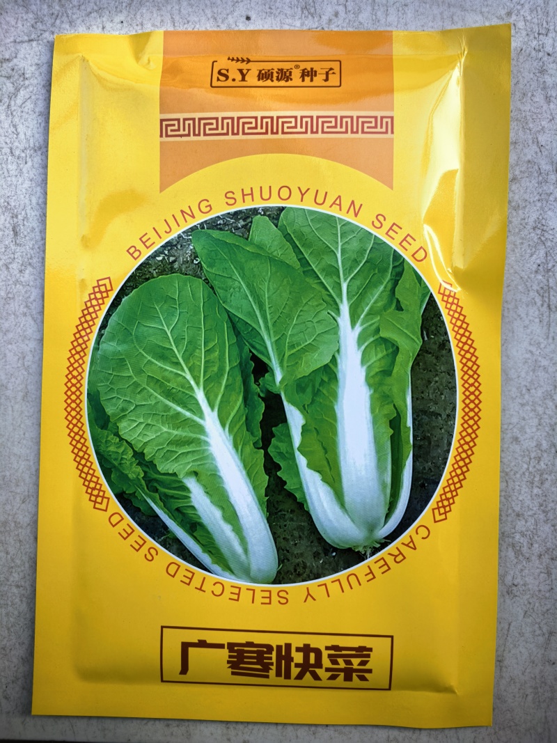 广寒快菜种子硕源耐寒越冬耐抽苔绿帮绿杆绿叶小白菜快菜种子