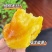 红瑶红薯、榴莲蜜薯