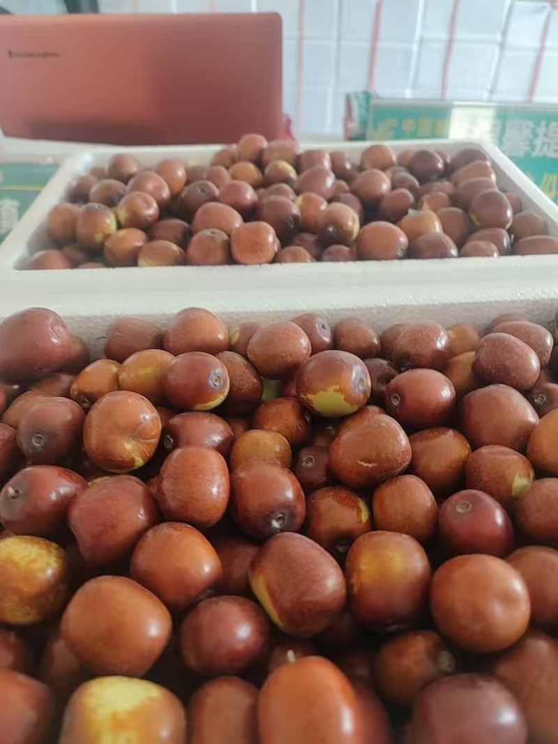 临泽小枣