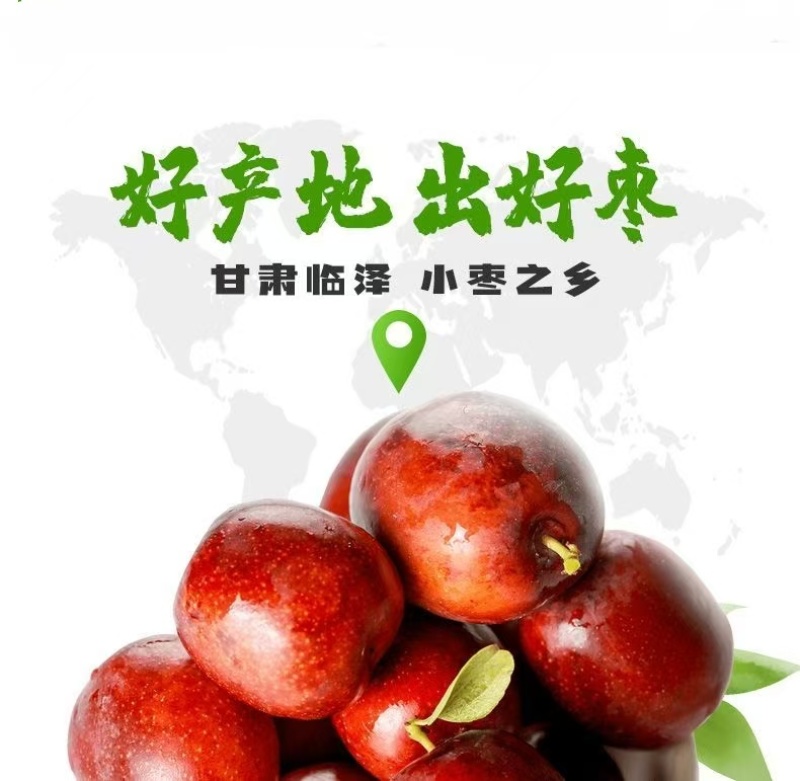临泽小枣
