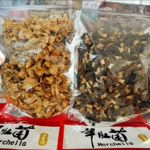 特价羊肚菌一斤装组合