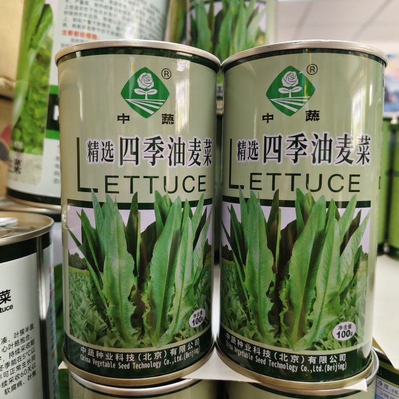 中蔬农科院大叶油麦菜种子甜脆清香四季油麦菜种籽耐寒耐热