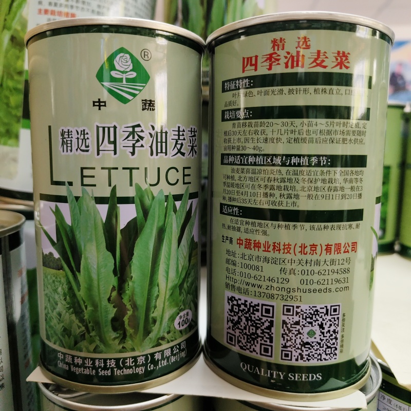 中蔬农科院大叶油麦菜种子甜脆清香四季油麦菜种籽耐寒耐热