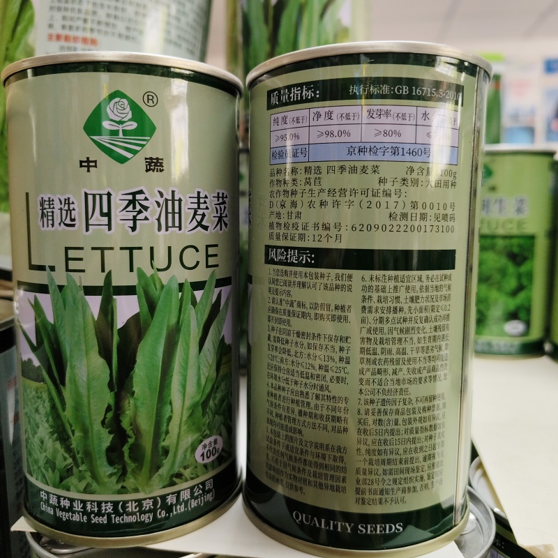 中蔬农科院大叶油麦菜种子甜脆清香四季油麦菜种籽耐寒耐热