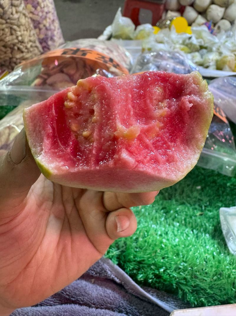 红心番石榴