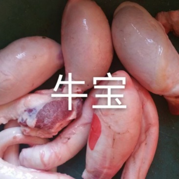 牛宝