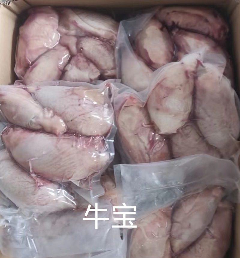牛宝