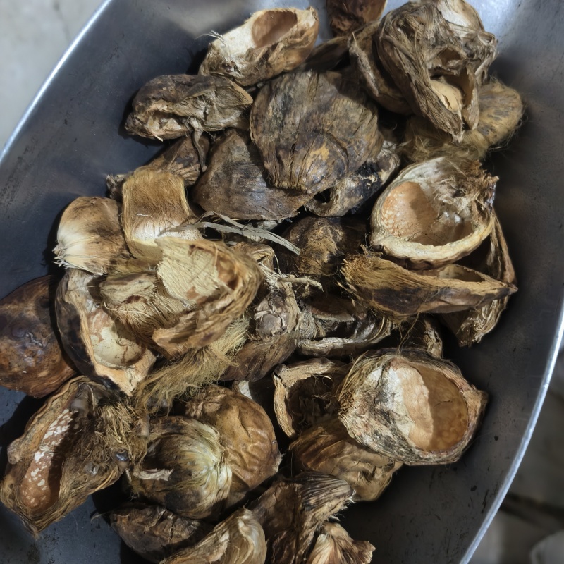 大腹皮大腹皮新货统货产地广西地道药材产地直销