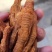 干炸鸡爪