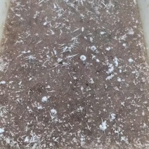 皮皮虾肉泥/手赶皮皮虾肉对接虾滑厂家、饺子厂家欢迎联