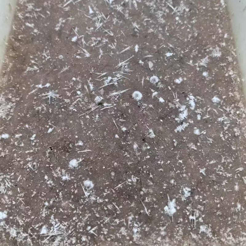 皮皮虾肉泥/手赶皮皮虾肉对接虾滑厂家、饺子厂家欢迎联