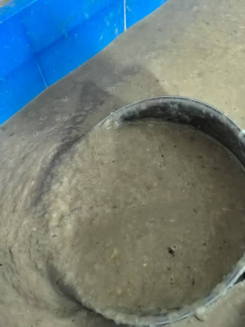 皮皮虾肉泥/手赶皮皮虾肉对接虾滑厂家、饺子厂家欢迎联