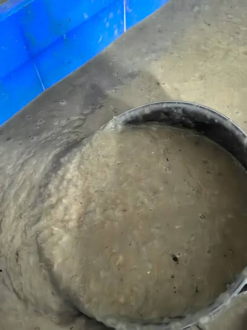 手赶皮皮虾肉，皮皮虾肉泥，对接虾滑、饺子厂家